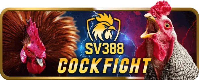 Giao diện đặt cược thể thao trên zalv vip với các kèo cược đang hiển thị